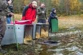 Beavers reintroduced to Scotland’s ‘most beautiful’ glen