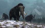 Woolly mammoth DNA uncovered in Siberia may help resurrect species