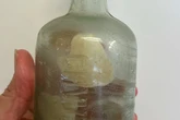 WWI messages in a bottle found on beach after a century