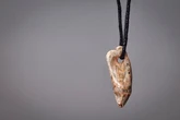 What15,0000-year-old jewellery tells us about prehistoric life