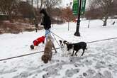 Northern U.S. blasted with winter storm as 100 million under alert