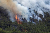 Mapped: All the European regions affected by wildfires this summer