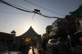 Two dead after jumping monkeys trigger stampede at Indian temple