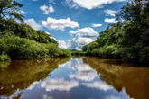 Fears Amazon is in ‘delicate situation’ over rising mercury pollution