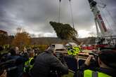 Rockefeller Center Christmas Tree arrives in New York City