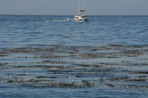 Three dead in California after small plane crash, Coast Guard says