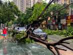 At least 35 dead as Typhoon Yagi tears through Vietnam