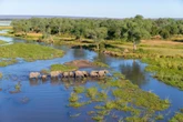 The struggle to protect wildlife as Trump’s aid cuts start to bite
