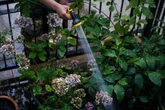 Mapped: Where hosepipe bans could come into effect