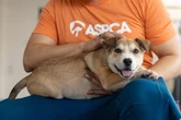 NYC has become so unaffordable residents are giving up their pets