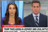 Wall St’s ‘TACO’ taunt could be a ‘win’ for Trump, ex-staffer says