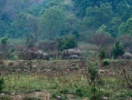 Camera traps used to spy on and harass women in Indian national park