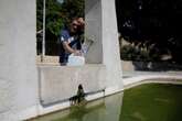 Locals forced to buy water from private sellers as Sicily runs dry