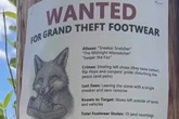 A fox has stolen 32 pairs of shoes from national park visitors