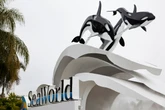Tourist sues SeaWorld’s parent company for ‘bait-and-switch’ prices