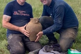 Detectorist uncovers what could be Wales’ biggest treasure hoard