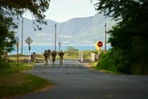 Australian woman deported after visiting US Army husband in Hawaii