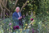 Charles’ Venus-inspired garden to open to visitors to Windsor Castle