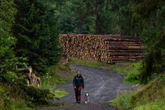 Drones deployed in fight against beetles threatening UK forests