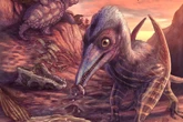 Scientists unearth fossils of ‘previously unknown species’