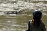 Escape of 105 crocodiles sparks calls to close Indonesian reptile farm