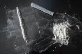 Cocaine salmon found swimming farther and dispersing more widely