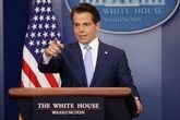 Anthony Scaramucci claims Elon Musk thinks ‘Trump is an idiot’