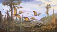 Researchers finally solve the mystery of the flying dinosaurs