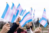 Trans women not legally women under Equality Act, Supreme Court rules