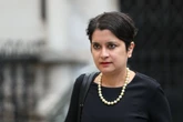 Palestine Action ban risks ‘I am Spartacus’ moment, Labour peer warns