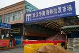 ‘Beyond reasonable doubt’ Covid pandemic originated at Wuhan market