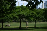 UK set for mini-heatwave as temperatures to soar to 29 degrees
