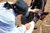 Quality products unlock Grasslands’ wealth