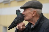 Urban birds are more scared of women than men, study finds