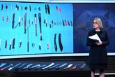 Australian plans to ban sale of machetes following violent gang fight