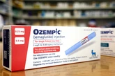 GLP-1 drugs may result in better outcomes for cancer patients: study