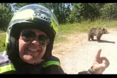 Man mauled to death by bear posted selfie with one before fatal attack