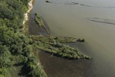 Scientists shocked as marine life found living on WWII explosives