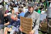 I was arrested at the Palestine Action ban protest – and it still seems surreal