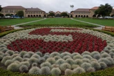 Stanford University laying off hundreds due to Trump cuts