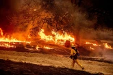 The US is not prepared for wildfire season after DOGE cuts: report