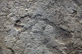 Fossil tracks may be oldest evidence yet of humans wearing footwear