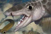 Fossils of ancient shark species discovered in Kentucky cave