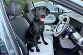 Heat warning for dog owners with EVs at charging stops