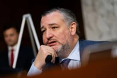 Cruz and Kennedy joke about Backstreet Boys tattoo amid Senate hearing