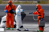 Briton treated in Netherlands for hantavirus returns to UK