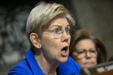 Elizabeth Warren accuses Elon Musk of profiteering from DC role