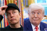 Republicans call for an end to Trump-Musk feud over fears for future