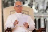 Pope Leo questions what it actually means to be pro-life