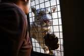 Japan’s ‘most dangerous zoo’ says it will fight closure